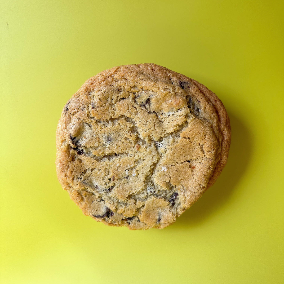 Chocolate Fuckin' Chip cookie, overhead view - Beth the Bakerr