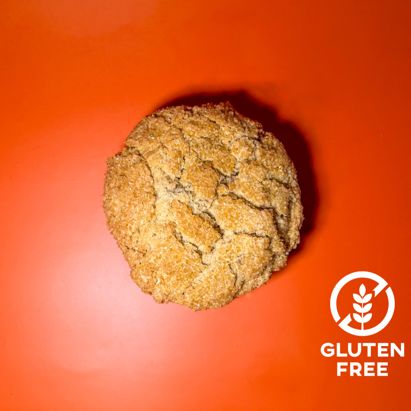 GF Maple Pecandemonium