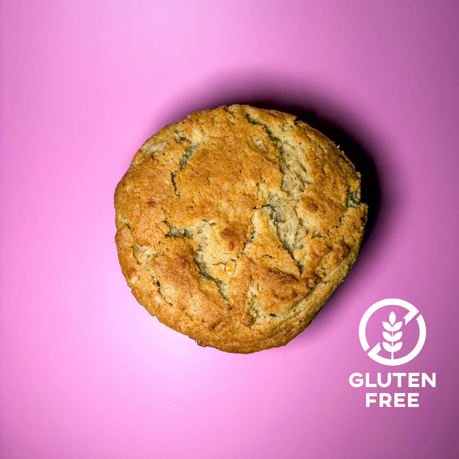 GF This Shit is BANANAS - Wholesale (6-pack)