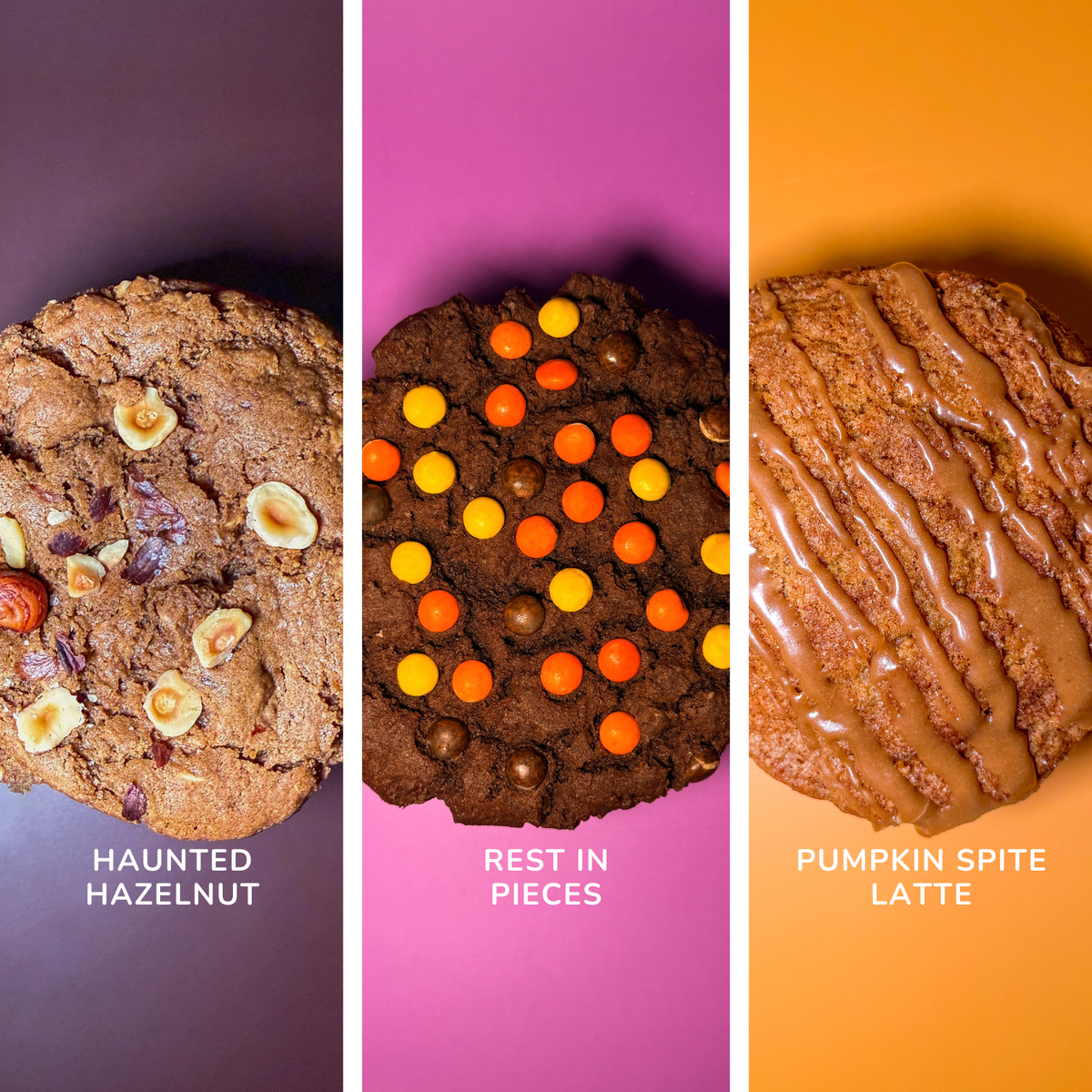 The Show Stoppers Variety Pack - assorted cookie variety box from Beth the Bakerr