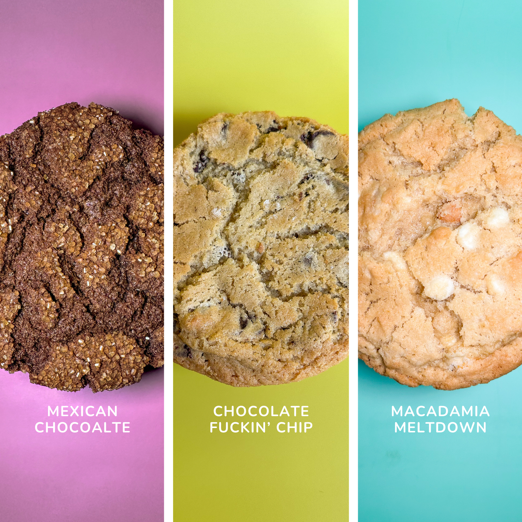 The Motherlode Variety Pack