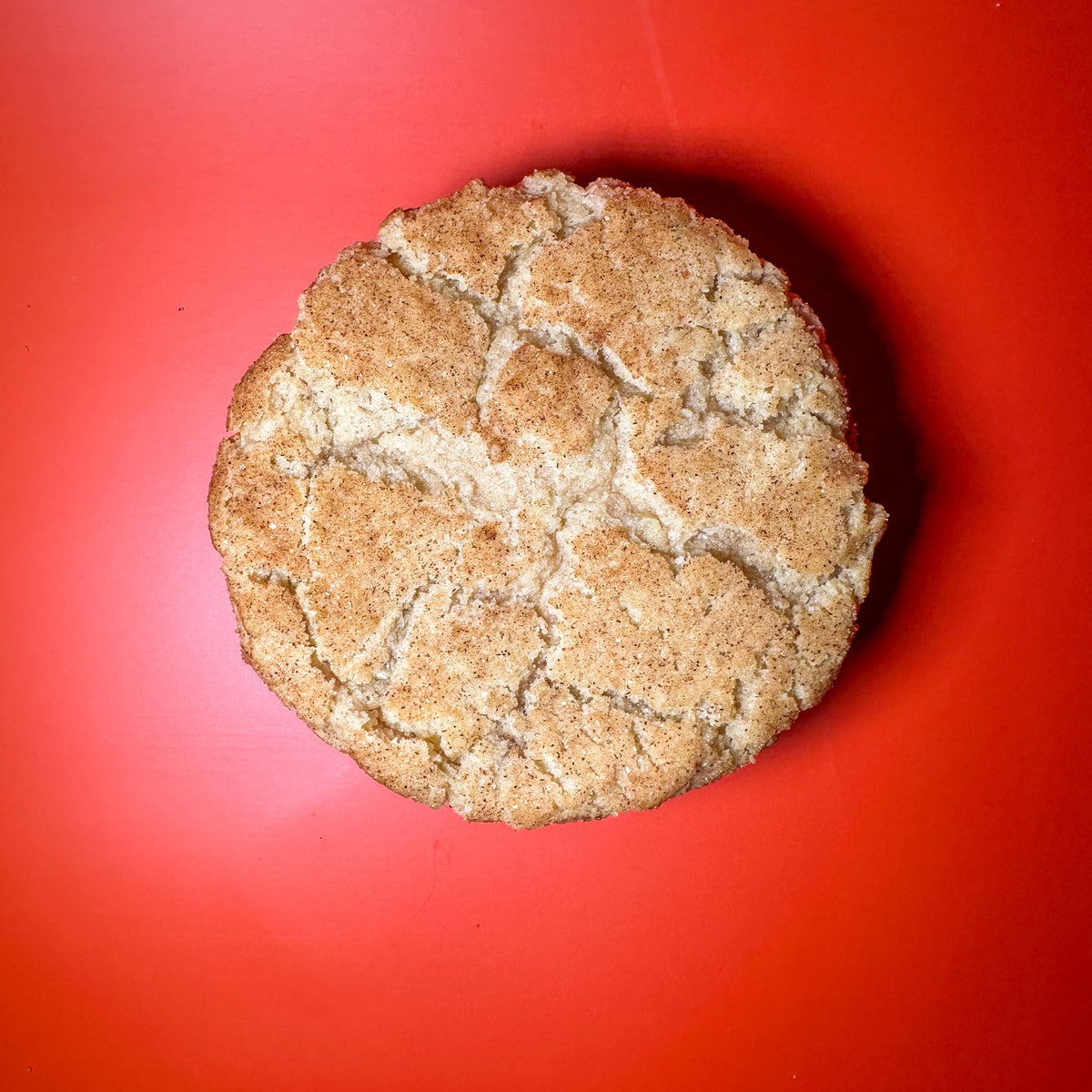 Snarky Snickerdoodle cookie, overhead view - Beth the Bakerr